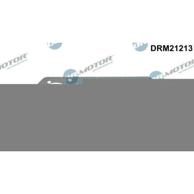 Bilde av DR.MOTOR AUTOMOTIVE DRM21213 Tetningssett, sylindertopp 77 SKODA: Fabia I Hatchback, Felicia 1 Pickup