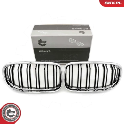 Bilde av ESEN SKV 66SKV102 Radiatorgitter krom BMW: 3 Coupé, Cabrio