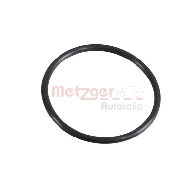Bilde av METZGER 2430106 Tetningsring 49 3 FPM (fluor kautsjuk) AUDI: A6 C7 Avant, A4 B8 Allroad, VOLKSWAGEN: Passat Variant