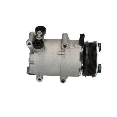Bilde av Kompressor, klimaanlegg, ford,volvo, 1333040, 1379474, 1383679, 1388316, 1432750, 1432767, 1678411, 1742258, 1744996, 1779739, 1809656,