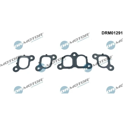 Bilde av DR.MOTOR AUTOMOTIVE DRM01291 Tetningssett, innsugningsmanifold VOLKSWAGEN: Transporter 5, Multivan 5 (7HM, Touareg I