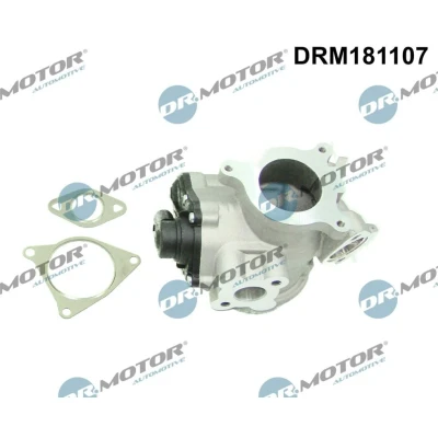 Bilde av DR.MOTOR AUTOMOTIVE DRM181107 EGR Ventil elektrisk OPEL: Vivaro A Combi, RENAULT: MASTER 2 Pritsche/Fahrgestell, TRAFIC Kasten