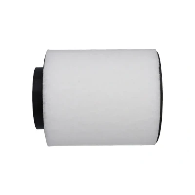 Bilde av KAVO PARTS FAF 10447 Luftfilter 153mm forfilter, Filterinnsats AUDI: A8 D4 (4H2, 4H8, 4HC, 4HL) 3.0 TFSI quattro, TDI, S8 4.0 quattro