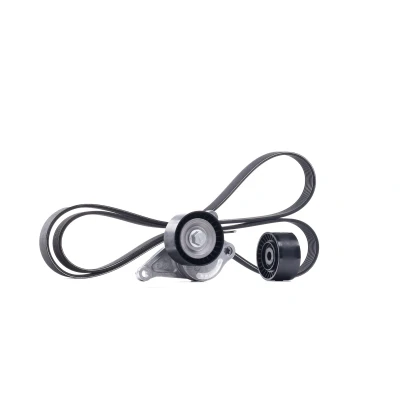 Bilde av SKF VKMA 36084 Kileribberem RENAULT: MEGANE 3 Grandtour, GRAND SCENIC 3, 2, NISSAN: X Trail, Qashqai / Qashqai+2 I