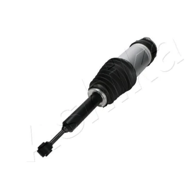 Bilde av Luftfjærbein, Bak, tesla model x, 102746100G
