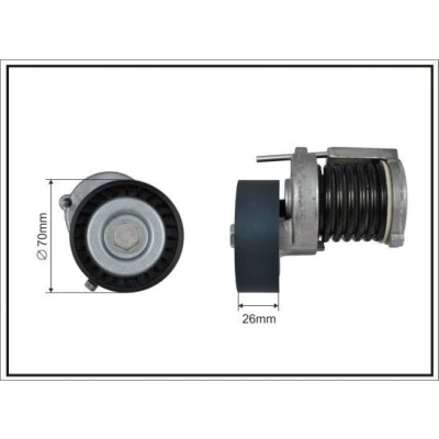 Bilde av CAFFARO 100100SP Spennarm, kilerem med ribber VOLKSWAGEN: Caddy 3, New Beetle Hatchback, Golf 5, SKODA: Octavia 2 Combi