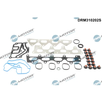 Bilde av DR.MOTOR AUTOMOTIVE DRM310202S Tetningssett, sylindertopp RENAULT: MEGANE 3 Grandtour