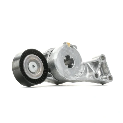 Bilde av INA 533 0076 30 Spennarm, kilerem med ribber VOLKSWAGEN: Caddy 3, Transporter 5, New Beetle Hatchback, SKODA: Octavia 2 Combi, AUDI: A3 Sportback