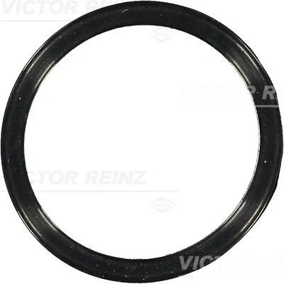 Bilde av REINZ 70 36583 00 Pakninger FORD: FIESTA 6