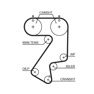 Bilde av GATES FleetRunner Micro V Stretch Fit 5404XS Registerreim 177 1416 25 glassfiber, HNBR (hydrert akryl nitril butadien kautsjuk)