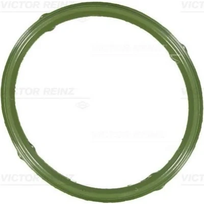 Bilde av REINZ 71 36066 00 Innsugspakning FPM (fluor kautsjuk) VOLKSWAGEN: Polo IV Hatchback