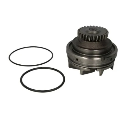 Bilde av THERMOTEC WP RV115 Vannpumpe med tetning mekanisk