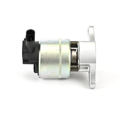 Bilde av DELPHI EG10015 12B1 EGR Ventil med tetning