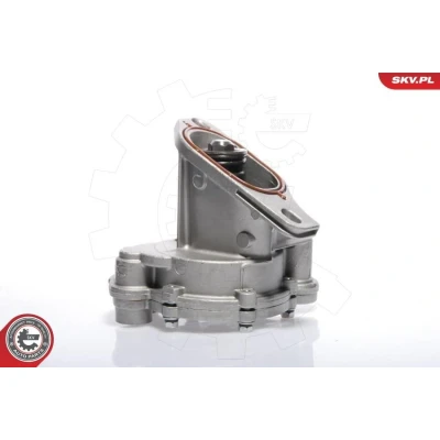 Bilde av ESEN SKV 18SKV009 Vakuumpumpe AUDI: A6 C4 Avant