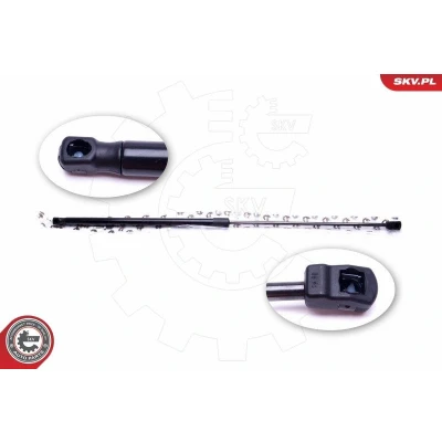 Bilde av Pneumatisk fjær, motorpanser, på begge sider, opel,vauxhall, 1180016, 13252173, 315005777