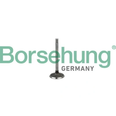 Bilde av Borsehung B18998 Innløpsventil VOLKSWAGEN: Multivan 5 (7HM, Touran I, Transporter Bus, AUDI: A3 Sportback, A4 B7 Avant, SKODA: Octavia 2 Combi