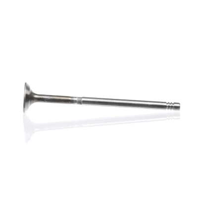 Bilde av Innløpsventil, Innløpsside, alfa romeo,chevrolet,fiat,ford,lancia,opel,suzuki,vauxhall, 12911 85E00, 46518930, 55195680, 641072