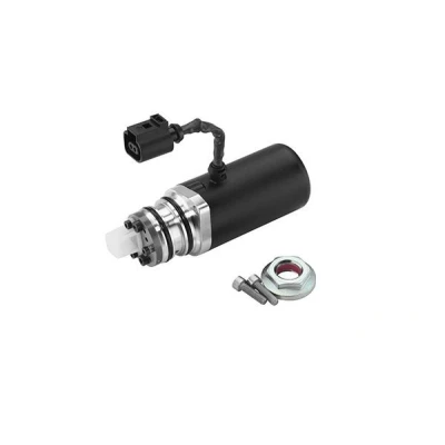 Bilde av BorgWarner DS118589 Pumpe, lamellkopling firehjulsdrift VOLKSWAGEN: Tiguan I, Passat B6 Variant, Caddy 3, SKODA: Octavia 2 Combi, 3 Combi