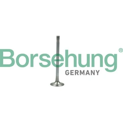 Bilde av Borsehung B19007 Eksosventil SKODA: Octavia 3 Schrägheck, VOLKSWAGEN: Polo V Hatchback
