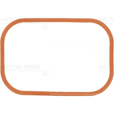 Bilde av REINZ 71 36068 00 Tetning, innsugningsmanifold hus VOLKSWAGEN: Golf 5, Passat B6 Sedan, Scirocco III