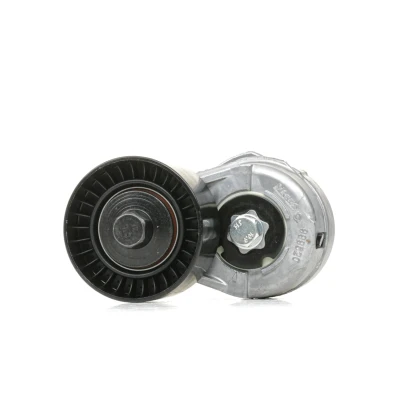 Bilde av INA 534 0109 20 Spennarm, kilerem med ribber ALFA ROMEO: 166