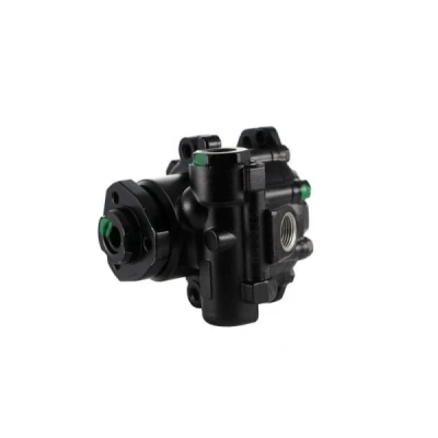 Bilde av LAUBER 55.9123 Hydraulikkpumpe hydraulisk 100 uten ekspansjonstank VOLKSWAGEN: Transporter 4 Bus,