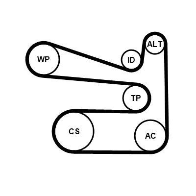 Bilde av CONTITECH 6PK1693K1 Kileribberem VOLKSWAGEN: Caddy 3, Touran I, Polo V Hatchback, AUDI: A3 Sportback, A1 Hatchback