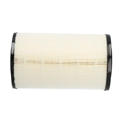 Bilde av Luftfilter, ford maverick, nissan pick up, terrano ii, van trade flak/chassi, 165463S903, 165467F000, 165467F002