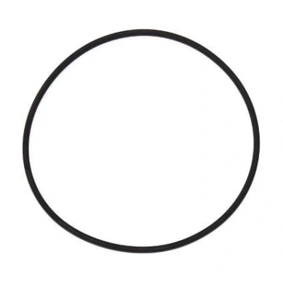 Bilde av O ring ELRING 152.230