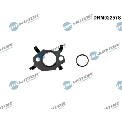 Bilde av DR.MOTOR AUTOMOTIVE DRM02257S Tetningssett, EGR system PEUGEOT: 3008 I, Boxer Van