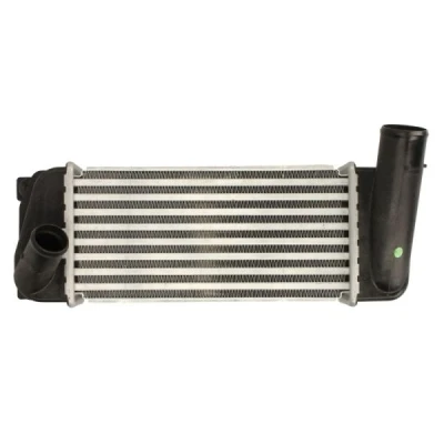 Bilde av Intercooler THERMOTEC DA2007TT