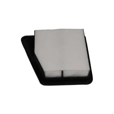 Bilde av Luftfilter, kia stinger, stinger hatchback van, 28113J5200
