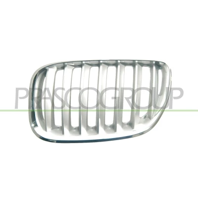 Bilde av BLIC 6502 07 0095997P Radiatorgitter foran venstre titan BMW: X5