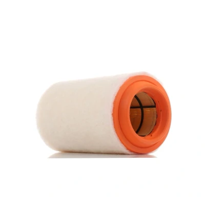 Bilde av PURFLUX A1494 Luftfilter 233 125 Filterinnsats MINI: Hatchback, Countryman, Clubman