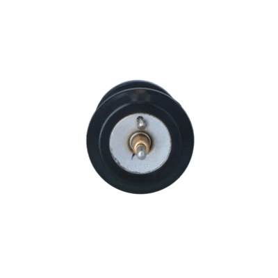 Bilde av NRF 725250 Termostat 95 uten kapsling AUDI: A4 B8 Avant, A6 C7 Allroad, VOLKSWAGEN: Passat B7 Variant, B6 Tiguan I