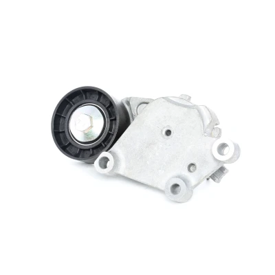 Bilde av SKF VKM 33043 Strammerull VOLVO: V50, V70 3, S80 II, FORD: Focus 2 Kombi, C Max, 2, MINI: Hatchback, Clubman