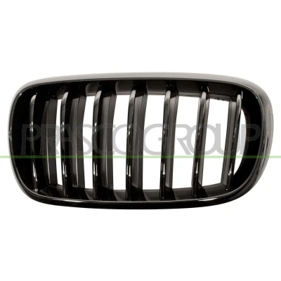 Bilde av PRASCO BM8272004 Radiatorgitter venstre glatt svart BMW: X5