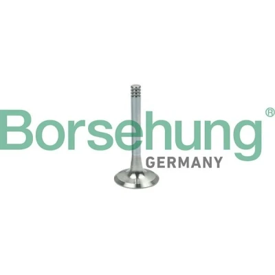 Bilde av Borsehung B19002 Eksosventil VOLKSWAGEN: Multivan 5 (7HM, Caddy 3, Touran I, AUDI: A4 B5 Avant, A6 C4 SKODA: Octavia 1 Combi