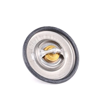 Bilde av WAHLER 3141.87D Termostat 87 med tetning VOLKSWAGEN: Multivan 5 (7HM, Transporter Bus, Passat B6 Variant, AUDI: A4 B5 Avant, A6 C5 Avant