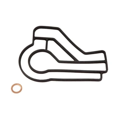 Bilde av MAXGEAR 70 0061 Pakninger