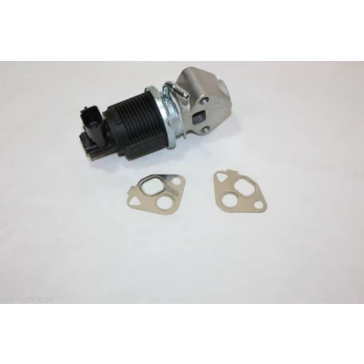 Bilde av AUTOMEGA 140010810 EGR Ventil VOLKSWAGEN: Caddy 3, Golf 5, Polo IV Hatchback, SKODA: Octavia 1 Combi, Fabia I AUDI: A2