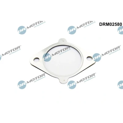 Bilde av tetning, EGR ventil Dr.Motor Automotive DRM02580