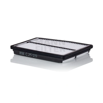 Bilde av MANN FILTER C 25 129 Luftfilter 29 196 245 Filterinnsats