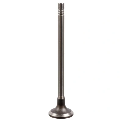 Bilde av FEBI BILSTEIN 175555 Innløpsventil 24