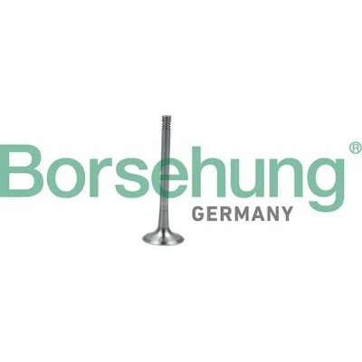 Bilde av Borsehung B19011 Eksosventil AUDI: Q5, A4 B8 Avant, A3 Sportback, VOLKSWAGEN: Multivan 5 (7HM, GOLF 6, Transporter Bus, SKODA: Octavia 2 Combi