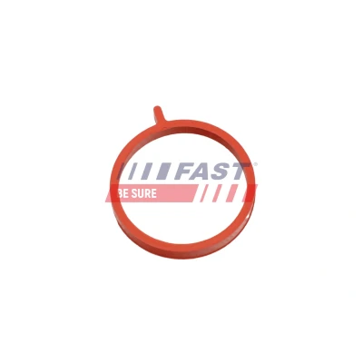 Bilde av FAST FT48964 Tetningsring, laseluftslange