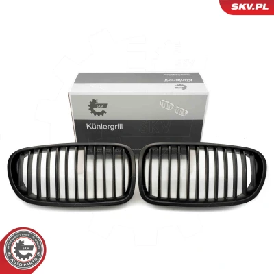 Bilde av ESEN SKV 66SKV181 Radiatorgitter sort matt BMW: 5 Touring, Sedan