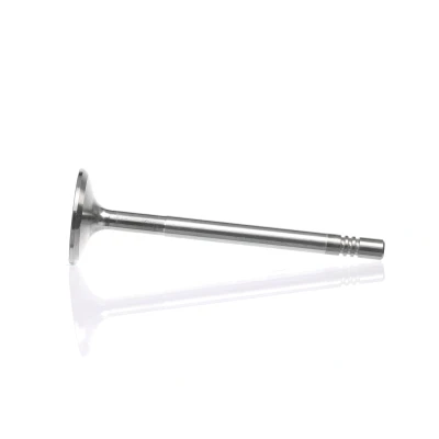 Bilde av Innløpsventil, Innløpsside, alfa romeo,fiat,lancia,opel,saab,suzuki,vauxhall, 46478834, 46527855, 46750859, 55193126, 60814605, 641073,