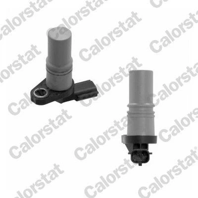 Bilde av CALORSTAT by Vernet CS0064 Impulsgiver