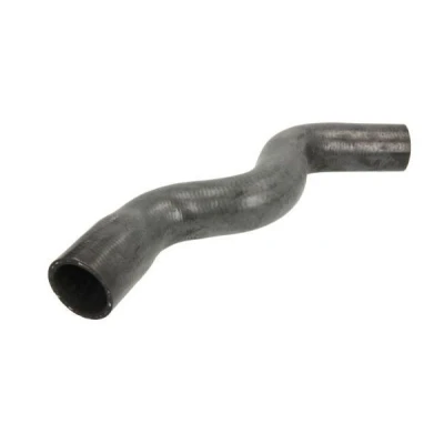 Bilde av THERMOTEC DWP106TT Radiatorslange øvre PEUGEOT: 306 Hatchback